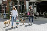 Amsterdam 29 mei 2021
Annekee Molenaar en haar moeder met de honden in Amsterdam zuid.