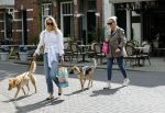 Amsterdam 29 mei 2021
Annekee Molenaar en haar moeder met de honden in Amsterdam zuid.