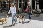 Amsterdam 29 mei 2021
Annekee Molenaar en haar moeder met de honden in Amsterdam zuid.