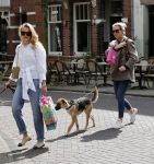 Amsterdam 29 mei 2021
Annekee Molenaar en haar moeder met de honden in Amsterdam zuid.