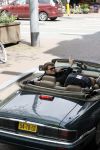 Amsterdam 29 mei 2021
Beau v Erven Dorens in zij Jaguar cabriolet in het centrum van Amsterdam.