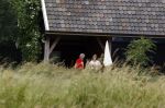 Eefde, 18 Juni 2021
Matthijs v Nieuwkerk met zijn vriendin