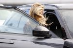 Schiphol 21 mei 2021
Monique Westenberg zoontje Andre Hazes jr en twee vriendinnen arriveren op schiphol na een vakantie op ibiza.
Haar vader komt ze halen .