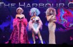 Amsterdam 31 mei 2022
Presentatie Dragshow bij the Harbour club .
Envy Peru, Skyla Versai, Abby omg, Vanessa van Cartier, Sederginne, Janey Jacke en Axel Andro .