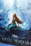 Amsterdam 23 mei 2023
Premiere Little Mermaid in Tuschinski.