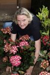 Noordwijk 24 mei 2024
Erica Meiland en Martien Meiland planten bijzondere hortensiaâ€™s in de tuin van hun Boutique Pension Code RosÃ©.