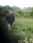 Blaricum 25 mei 2024
Linda de Mol en haar vriend Jeroen Rietbergen gaan met hun twee labradors wandelen op de hei bij Blaricum .