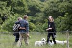 Blaricum 25 mei 2024
Linda de Mol en haar vriend Jeroen Rietbergen gaan met hun twee labradors wandelen op de hei bij Blaricum .