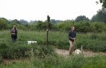 Blaricum 25 mei 2024
Linda de Mol en haar vriend Jeroen Rietbergen gaan met hun twee labradors wandelen op de hei bij Blaricum .