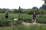 Blaricum 25 mei 2024
Linda de Mol en haar vriend Jeroen Rietbergen gaan met hun twee labradors wandelen op de hei bij Blaricum .
