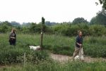 Blaricum 25 mei 2024
Linda de Mol en haar vriend Jeroen Rietbergen gaan met hun twee labradors wandelen op de hei bij Blaricum .