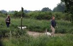 Blaricum 25 mei 2024
Linda de Mol en haar vriend Jeroen Rietbergen gaan met hun twee labradors wandelen op de hei bij Blaricum .