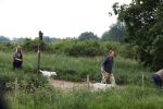Blaricum 25 mei 2024
Linda de Mol en haar vriend Jeroen Rietbergen gaan met hun twee labradors wandelen op de hei bij Blaricum .