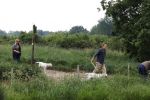Blaricum 25 mei 2024
Linda de Mol en haar vriend Jeroen Rietbergen gaan met hun twee labradors wandelen op de hei bij Blaricum .