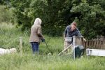Blaricum 25 mei 2024
Linda de Mol en haar vriend Jeroen Rietbergen gaan met hun twee labradors wandelen op de hei bij Blaricum .
