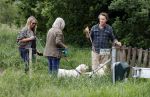Blaricum 25 mei 2024
Linda de Mol en haar vriend Jeroen Rietbergen gaan met hun twee labradors wandelen op de hei bij Blaricum .