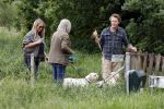 Blaricum 25 mei 2024
Linda de Mol en haar vriend Jeroen Rietbergen gaan met hun twee labradors wandelen op de hei bij Blaricum .