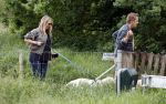Blaricum 25 mei 2024
Linda de Mol en haar vriend Jeroen Rietbergen gaan met hun twee labradors wandelen op de hei bij Blaricum .