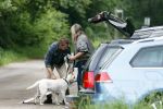 Blaricum 25 mei 2024
Linda de Mol en haar vriend Jeroen Rietbergen gaan met hun twee labradors wandelen op de hei bij Blaricum .