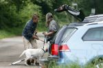 Blaricum 25 mei 2024
Linda de Mol en haar vriend Jeroen Rietbergen gaan met hun twee labradors wandelen op de hei bij Blaricum .