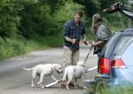 Blaricum 25 mei 2024
Linda de Mol en haar vriend Jeroen Rietbergen gaan met hun twee labradors wandelen op de hei bij Blaricum .