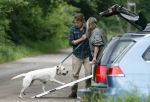 Blaricum 25 mei 2024
Linda de Mol en haar vriend Jeroen Rietbergen gaan met hun twee labradors wandelen op de hei bij Blaricum .