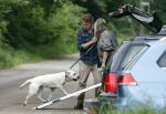 Blaricum 25 mei 2024
Linda de Mol en haar vriend Jeroen Rietbergen gaan met hun twee labradors wandelen op de hei bij Blaricum .