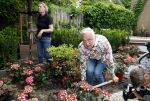 Noordwijk 24 mei 2024
Erica Meiland en Martien Meiland planten bijzondere hortensiaâ€™s in de tuin van hun Boutique Pension Code RosÃ©.
