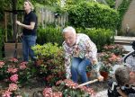 Noordwijk 24 mei 2024
Erica Meiland en Martien Meiland planten bijzondere hortensiaâ€™s in de tuin van hun Boutique Pension Code RosÃ©.