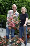 Noordwijk 24 mei 2024
Erica Meiland en Martien Meiland planten bijzondere hortensiaâ€™s in de tuin van hun Boutique Pension Code RosÃ©.