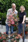 Noordwijk 24 mei 2024
Erica Meiland en Martien Meiland planten bijzondere hortensiaâ€™s in de tuin van hun Boutique Pension Code RosÃ©.