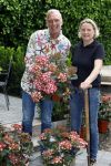 Noordwijk 24 mei 2024
Erica Meiland en Martien Meiland planten bijzondere hortensiaâ€™s in de tuin van hun Boutique Pension Code RosÃ©.