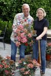 Noordwijk 24 mei 2024
Erica Meiland en Martien Meiland planten bijzondere hortensiaâ€™s in de tuin van hun Boutique Pension Code RosÃ©.