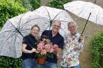 Noordwijk 24 mei 2024
Erica Meiland en Martien Meiland planten bijzondere hortensiaâ€™s in de tuin van hun Boutique Pension Code RosÃ©.