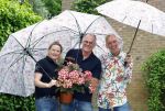 Noordwijk 24 mei 2024
Erica Meiland en Martien Meiland planten bijzondere hortensiaâ€™s in de tuin van hun Boutique Pension Code RosÃ©.