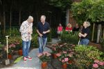 Noordwijk 24 mei 2024
Erica Meiland en Martien Meiland planten bijzondere hortensiaâ€™s in de tuin van hun Boutique Pension Code RosÃ©.