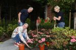 Noordwijk 24 mei 2024
Erica Meiland en Martien Meiland planten bijzondere hortensiaâ€™s in de tuin van hun Boutique Pension Code RosÃ©.