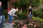 Noordwijk 24 mei 2024
Erica Meiland en Martien Meiland planten bijzondere hortensiaâ€™s in de tuin van hun Boutique Pension Code RosÃ©.