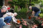 Noordwijk 24 mei 2024
Erica Meiland en Martien Meiland planten bijzondere hortensiaâ€™s in de tuin van hun Boutique Pension Code RosÃ©.