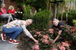 Noordwijk 24 mei 2024
Erica Meiland en Martien Meiland planten bijzondere hortensiaâ€™s in de tuin van hun Boutique Pension Code RosÃ©.