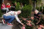 Noordwijk 24 mei 2024
Erica Meiland en Martien Meiland planten bijzondere hortensiaâ€™s in de tuin van hun Boutique Pension Code RosÃ©.
