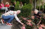 Noordwijk 24 mei 2024
Erica Meiland en Martien Meiland planten bijzondere hortensiaâ€™s in de tuin van hun Boutique Pension Code RosÃ©.