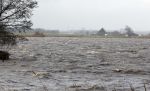 Zuiderwoude 26 januari 2024
Het ruwe water bij Zuiderwoude