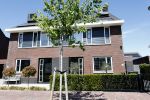 Wilnis 20 en 21 mei 2025
Andre Hazes bij zijn huis met zijn hond .