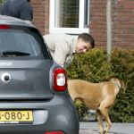 Wilnis 20 en 21 mei 2025
Andre Hazes bij zijn huis met zijn hond .