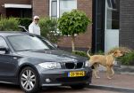 Wilnis 25 mei 2025
Andre Hazes gaat sporten en daarna komt Monique Westenberg met zoon Andre Hazes jr de hond brengen bij zijn huis .
Andre en Monique geven elkaar een knuffel .