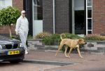 Wilnis 25 mei 2025
Andre Hazes gaat sporten en daarna komt Monique Westenberg met zoon Andre Hazes jr de hond brengen bij zijn huis .
Andre en Monique geven elkaar een knuffel .