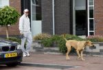 Wilnis 25 mei 2025
Andre Hazes gaat sporten en daarna komt Monique Westenberg met zoon Andre Hazes jr de hond brengen bij zijn huis .
Andre en Monique geven elkaar een knuffel .