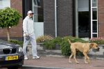 Wilnis 25 mei 2025
Andre Hazes gaat sporten en daarna komt Monique Westenberg met zoon Andre Hazes jr de hond brengen bij zijn huis .
Andre en Monique geven elkaar een knuffel .