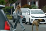 Wilnis 25 mei 2025
Andre Hazes gaat sporten en daarna komt Monique Westenberg met zoon Andre Hazes jr de hond brengen bij zijn huis .
Andre en Monique geven elkaar een knuffel .
